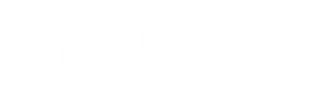 STEP 03