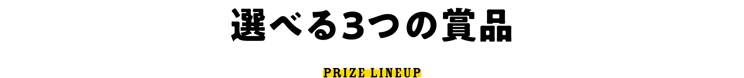 選べる3つの賞品 - PRIZE LINEUP